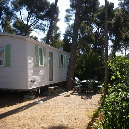 Campsite Camping De Ceyreste La Ciotat