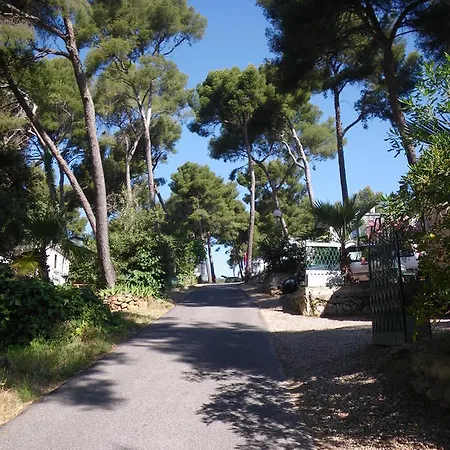 Campsite Camping De Ceyreste La Ciotat